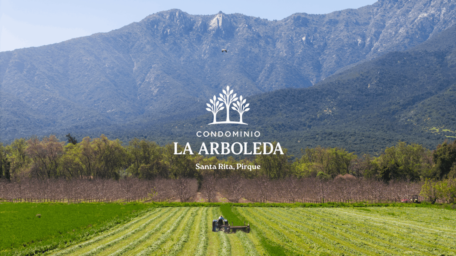 Portada La arboleda de Pirque