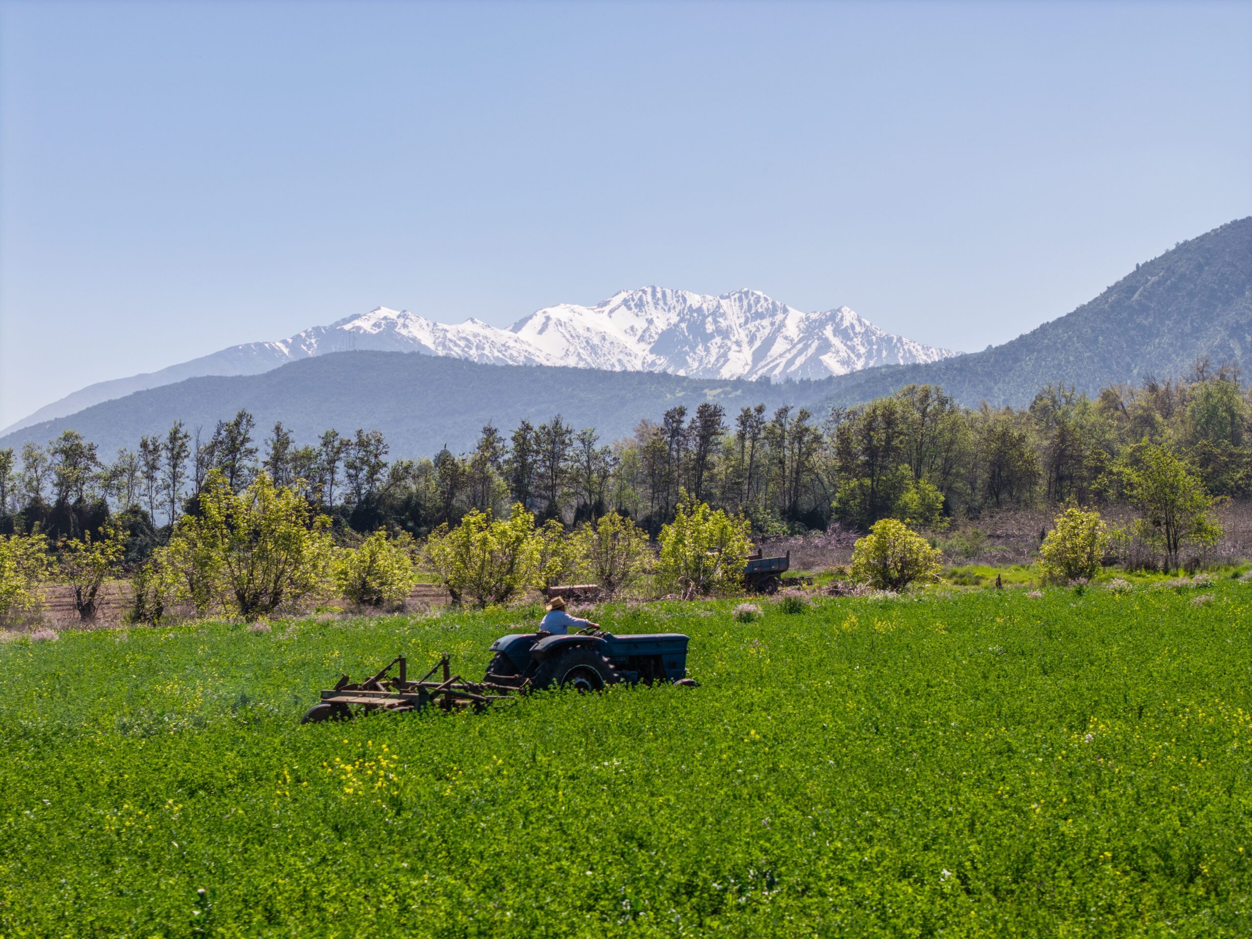 Paisaje de Santa Rita de Pirque