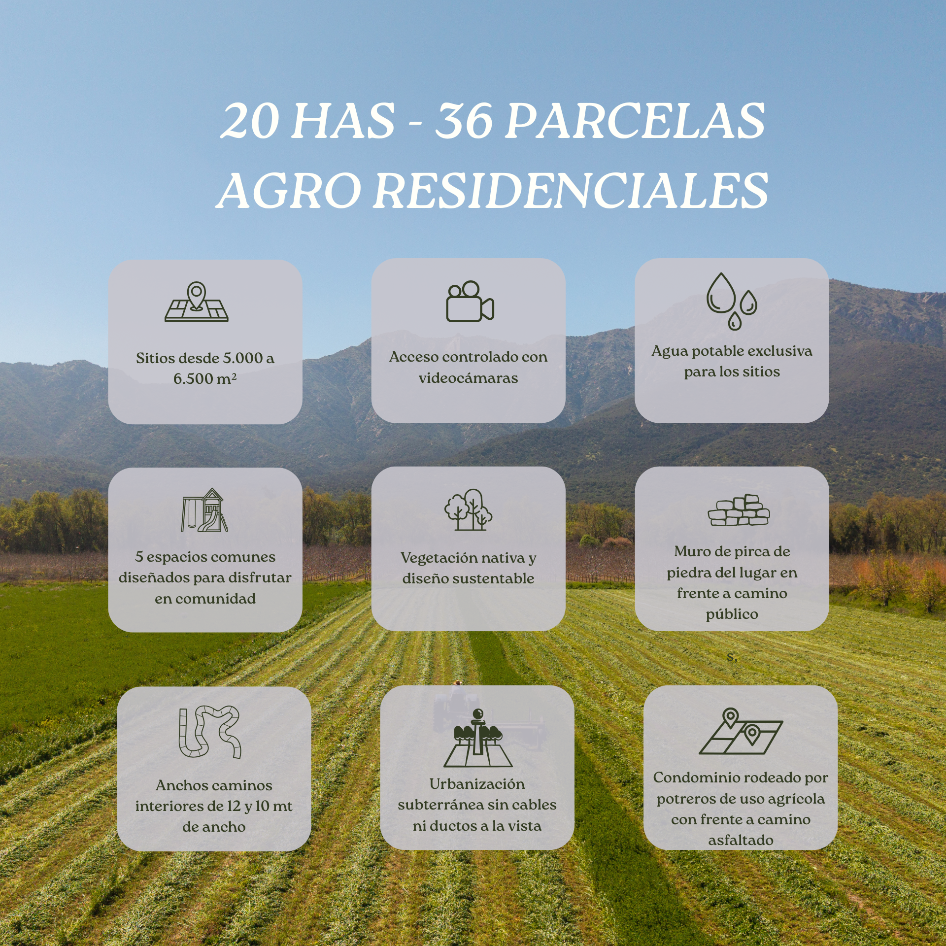 Brochure servicios Arboleda